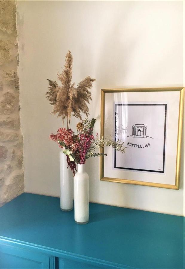 Grande Suite Sur Jardin Dans Montpellier Centre Esterno foto
